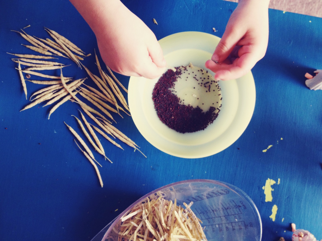 Tiny Peasant Scattering Seeds