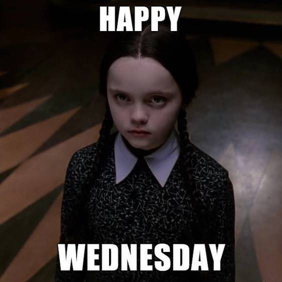 100+ Funny Wednesday Memes to Get You Through Hump Day Tiny Positive