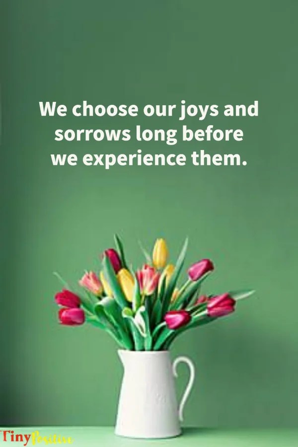 80 Sorrowful Quotes About Losing a Loved One Tiny Positive