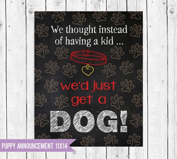 15 Adorable Puppy Announcement Ideas How to Announce a New Puppy Arrival