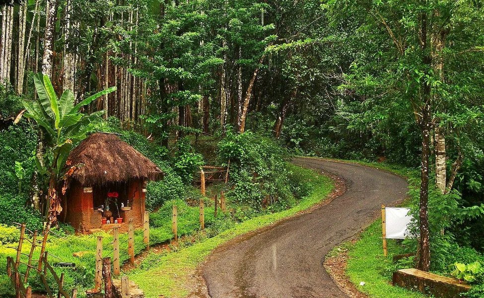 10 Places To Visit in Karnataka During Monsoon Tiny Tracks