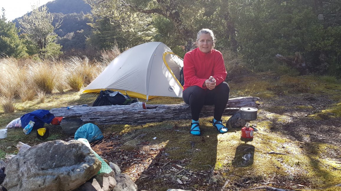 Waipakihi River Kaimanawa Forest Park Tinytramper®