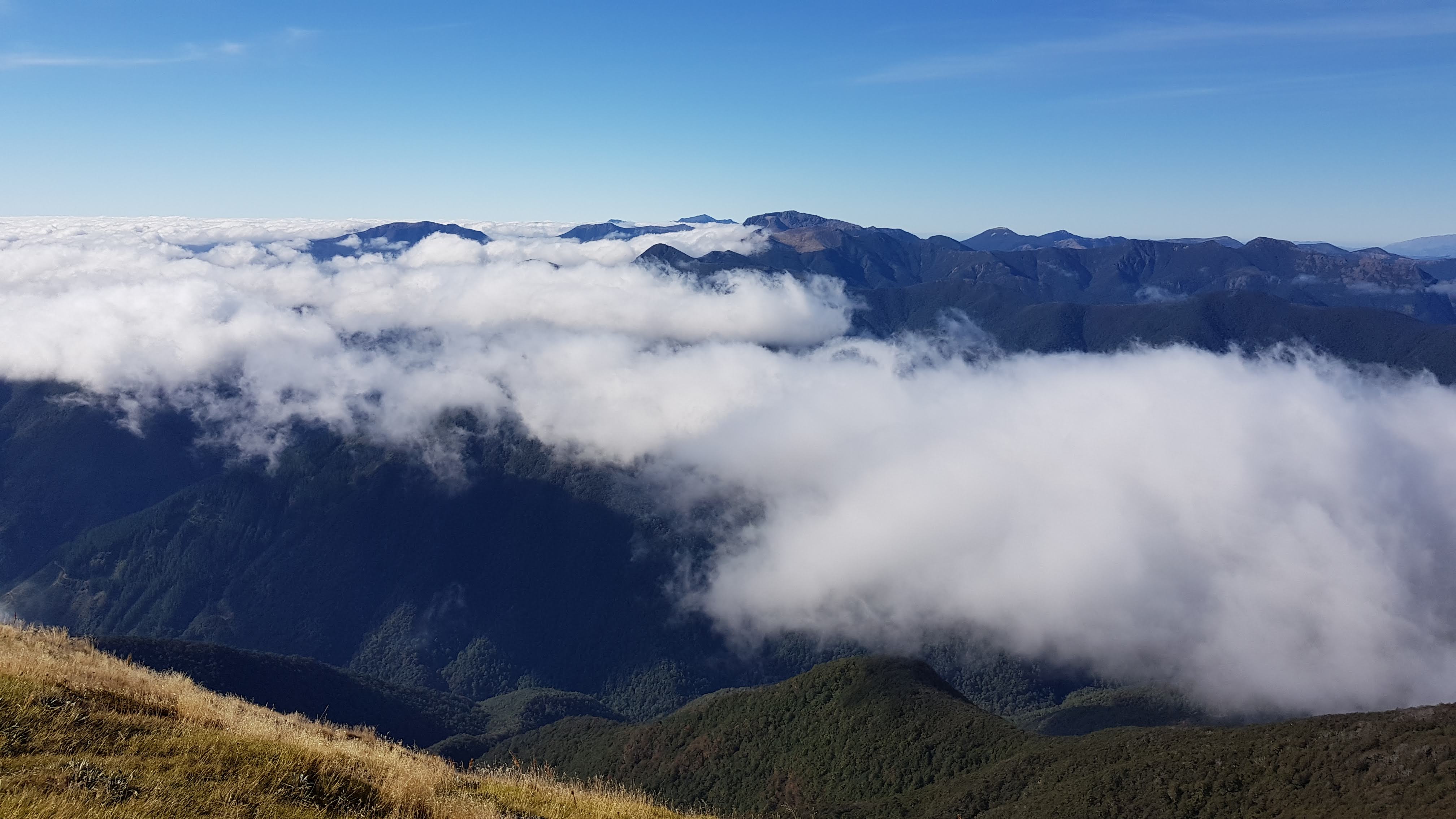 Ben Nevis Nelson Tasman Tinytramper®