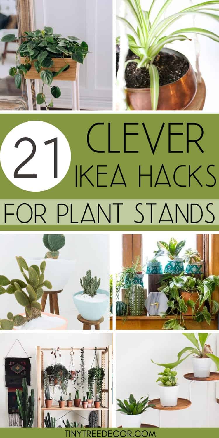 Genius IKEA Plant Stand Hacks {to keep your houseplants happy} Tiny