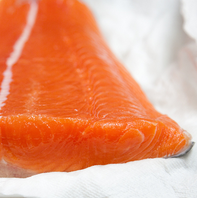 Copper River Salmon (King) Tiny Urban Kitchen