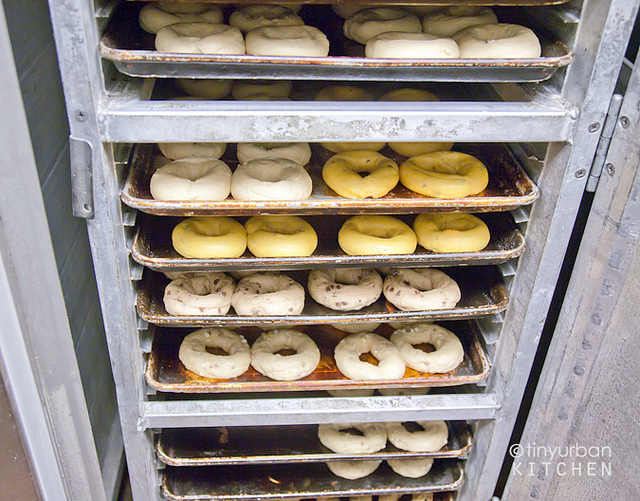 Baking Lesson at Panera in Porter Square Tiny Urban Kitchen