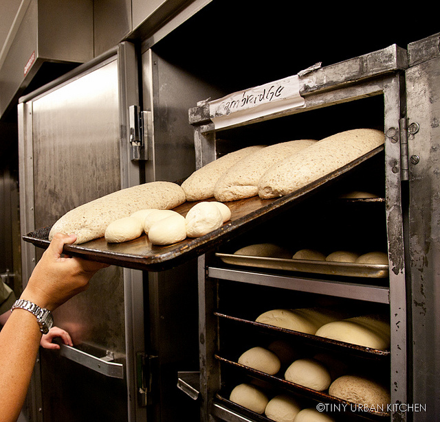 Baking Lesson at Panera in Porter Square Tiny Urban Kitchen