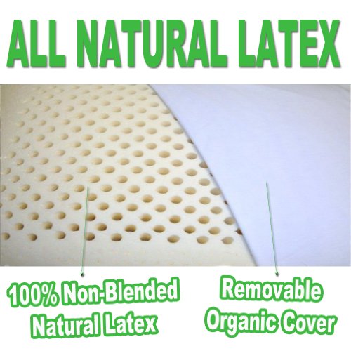 2Pack All Natural Latex Pillow with Organic Cotton Washable Outer