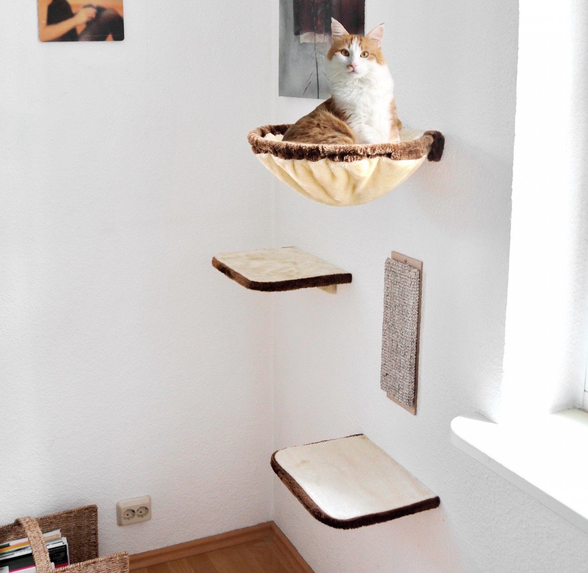 Rezension SILVIO DESIGN KatzenKletterwand 4teilig, Katzenkletterwand