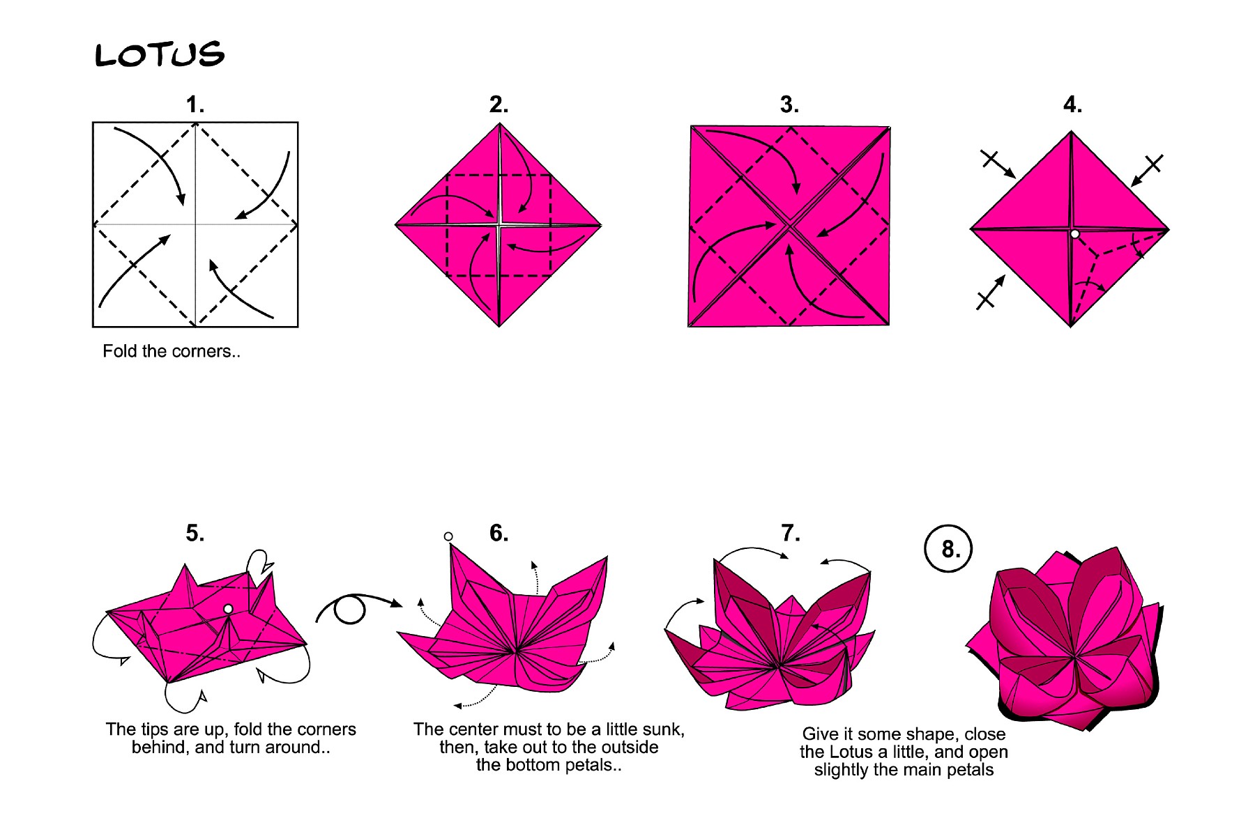 Best origami books Remarkable editions and projects (2023)