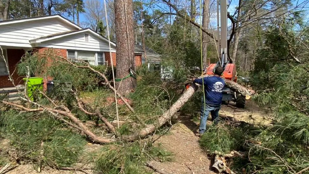 Home Tip Top Tree Service of Midlands, LLC
