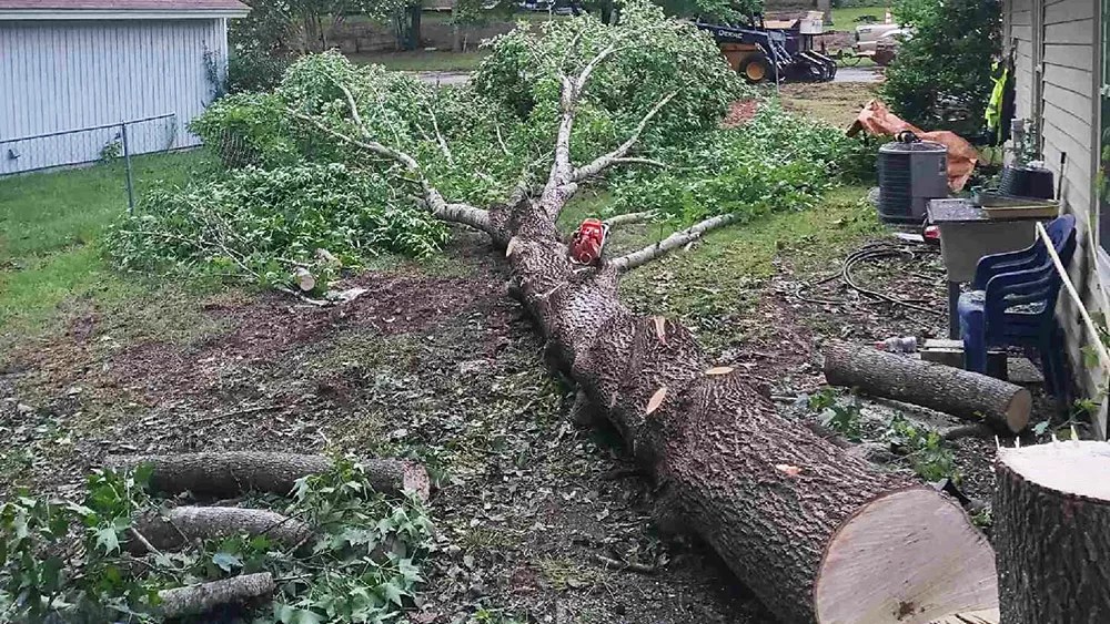 Home Tip Top Tree Service of Midlands, LLC