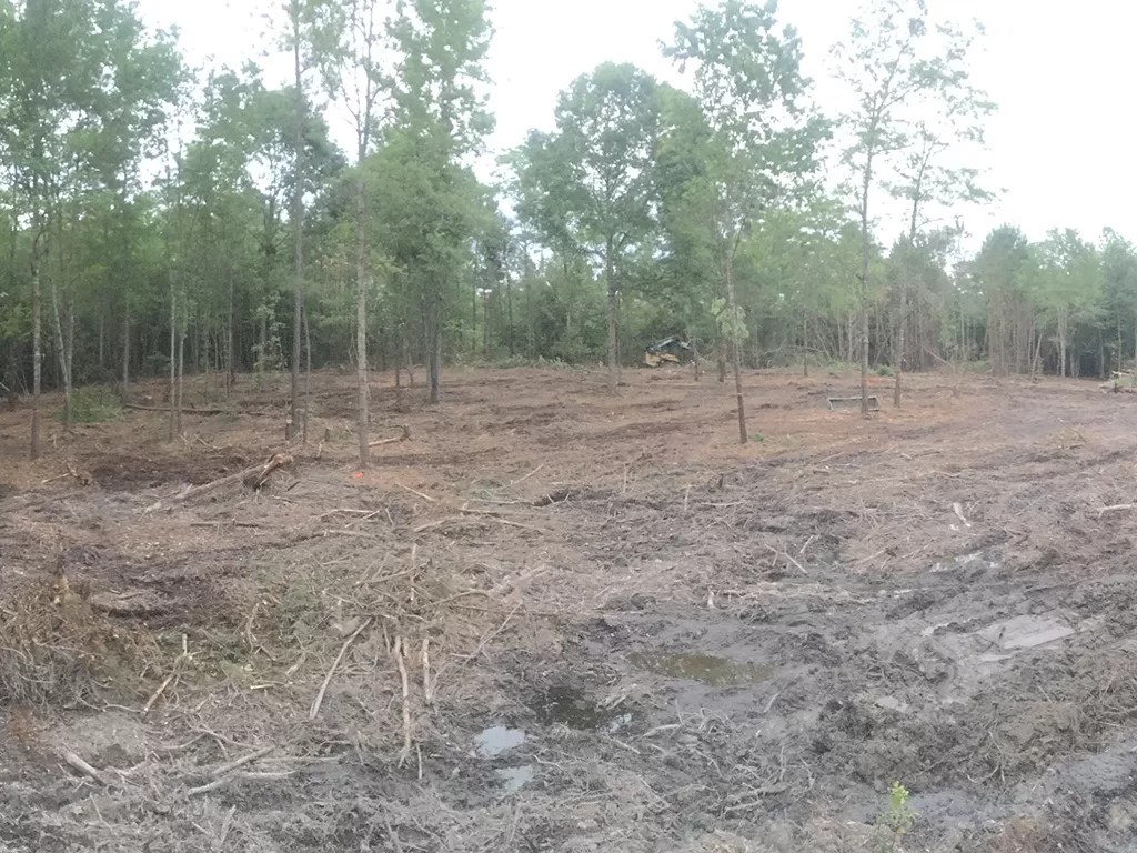 Services Tip Top Tree Service of Midlands, LLC