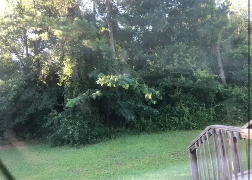 Services Tip Top Tree Service of Midlands, LLC