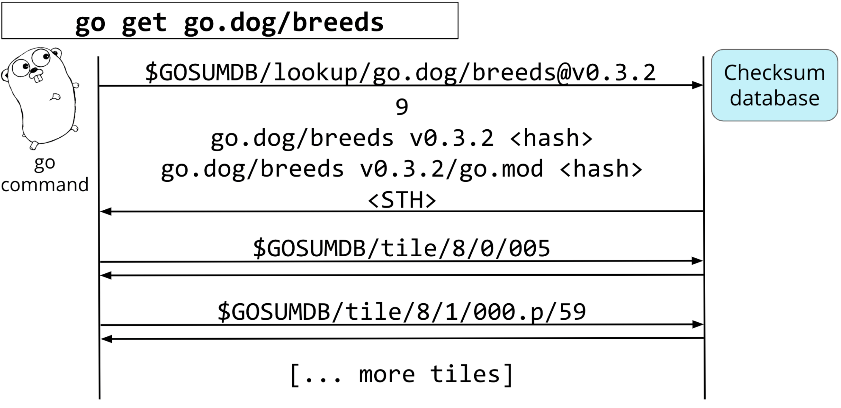 Module Mirror and Checksum Database Launched The Go Programming Language
