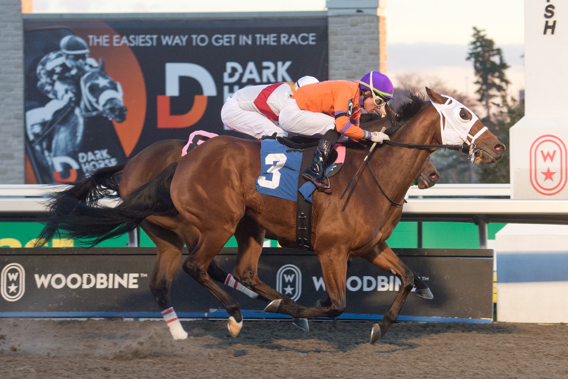 Woodbine Bay Hours at Ashley Jones blog