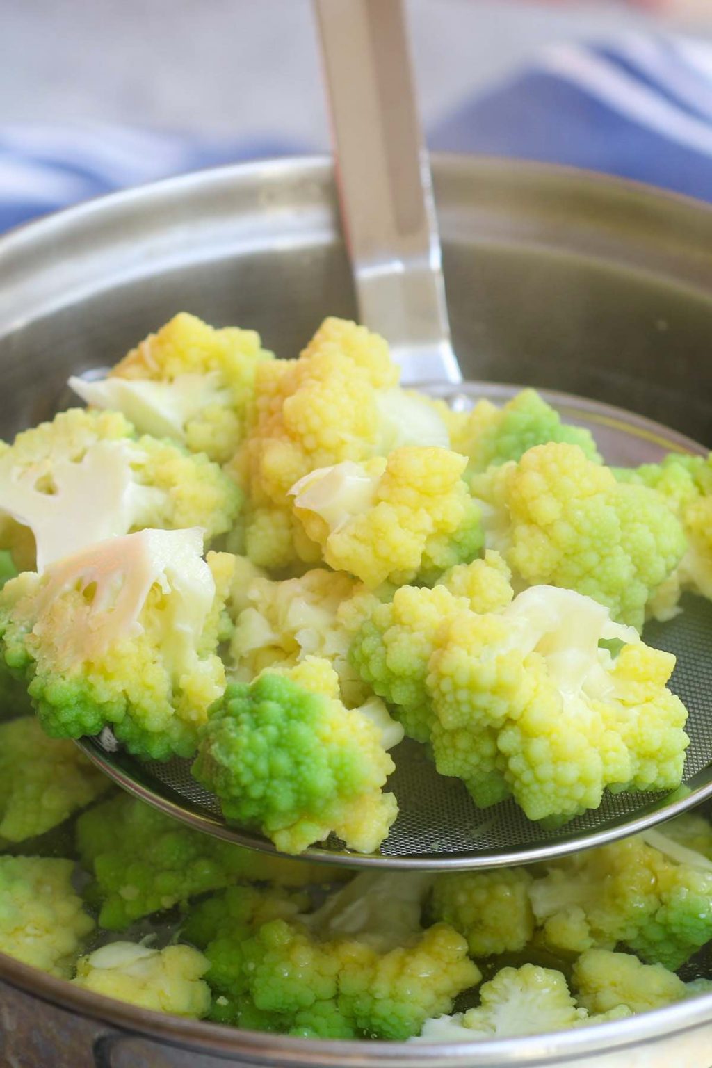 Romanesco Broccoli TipBuzz