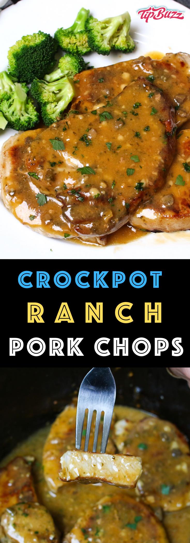 Crockpot Ranch Pork Chops {3 Ingredient} TipBuzz