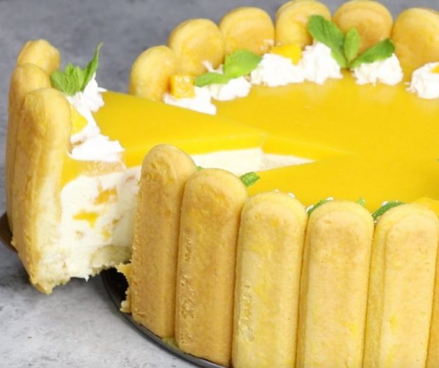 Mango Cheesecake Charlotte TipBuzz