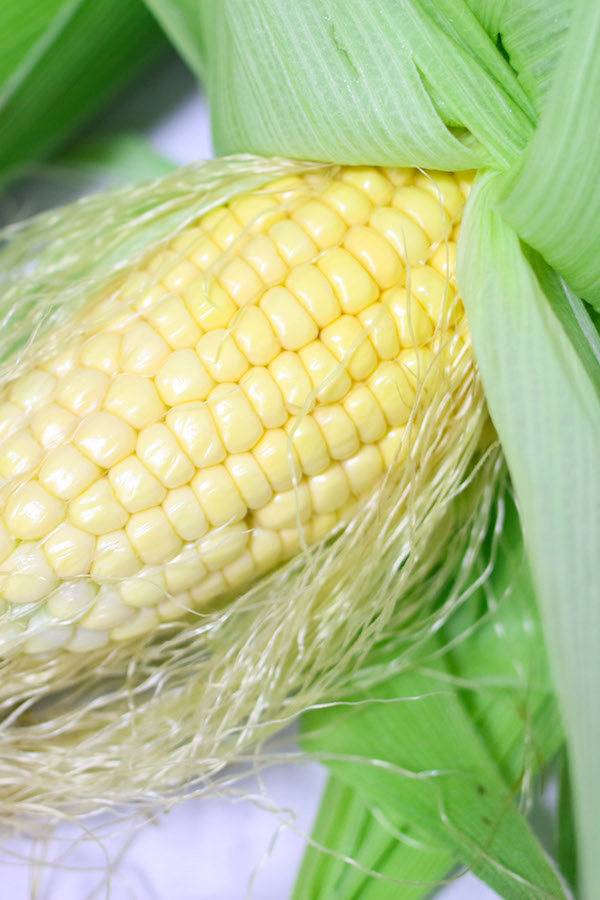 Boiled Corn on the Cob Recipe TipBuzz