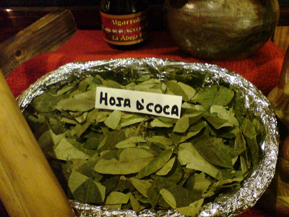 Té De Hoja De Coca Para Prevenir El Mal De Altura En El Cusco Tip de