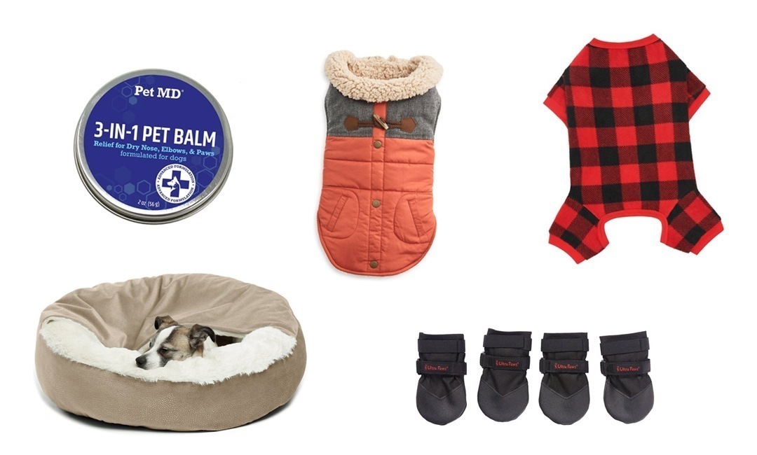 Winter Essentials for Your Dog from Chewy