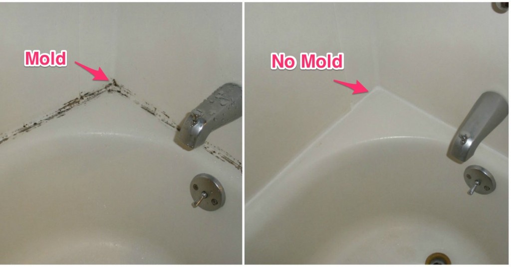 How To Clean Shower Mold In Caulking at Wm Sneller blog