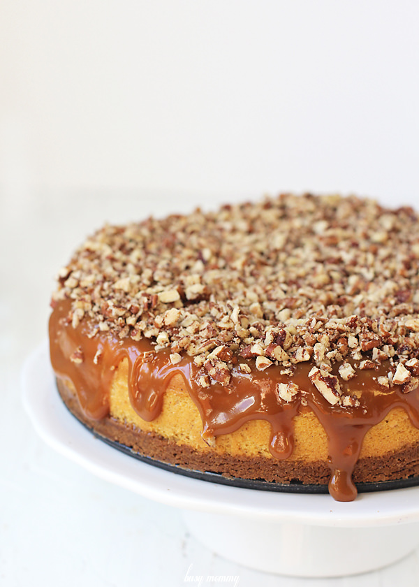 20 Delicious Nutella & Biscoff Recipes to Make Tip Junkie