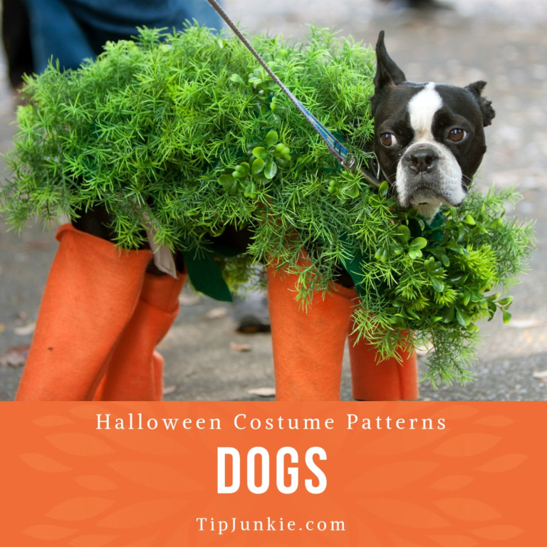 32 Adorable Dog Costumes to DIY Tip Junkie