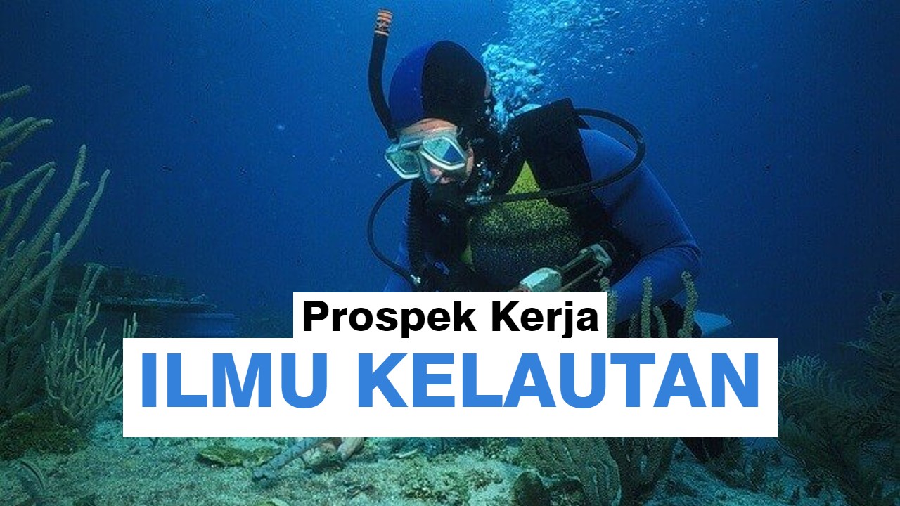 9 Prospek Kerja Ilmu Kelautan Yang Menjanjikan Tip Kerja