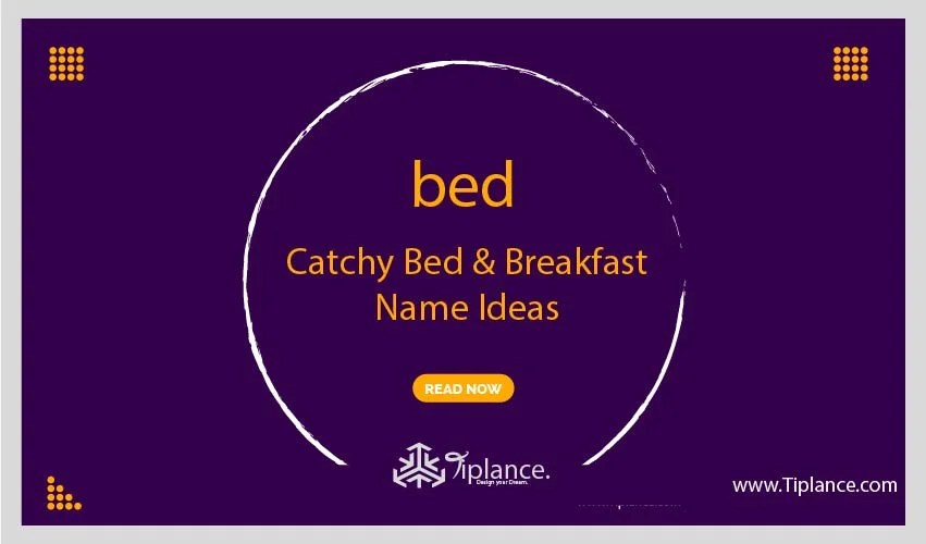 123+ Catchy Bed & Breakfast Name Ideas Tiplance