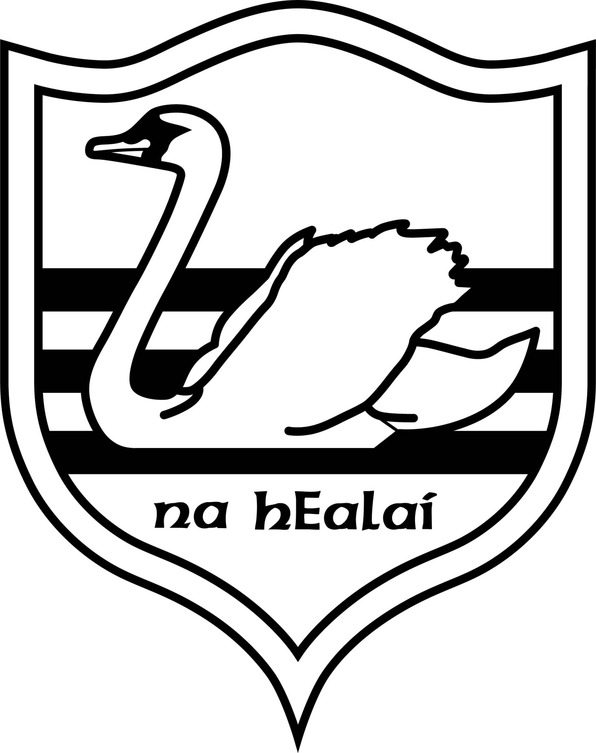 Carrick Swan Tipperary GAA