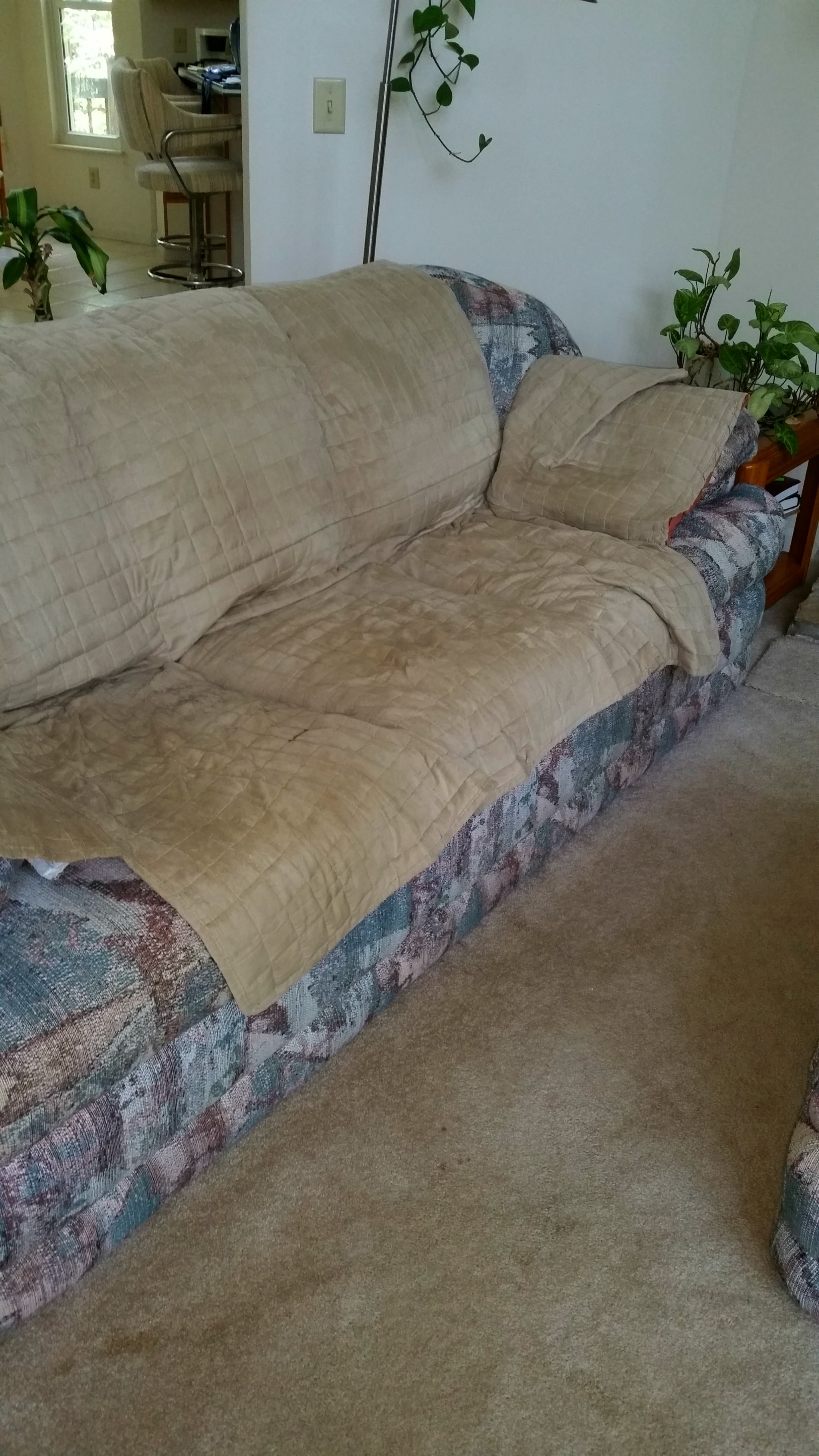 empty couch Tippy Tales