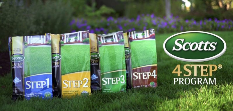 Take Care Of Your Lawn In 4 Easy Steps ACE Tips & Advice