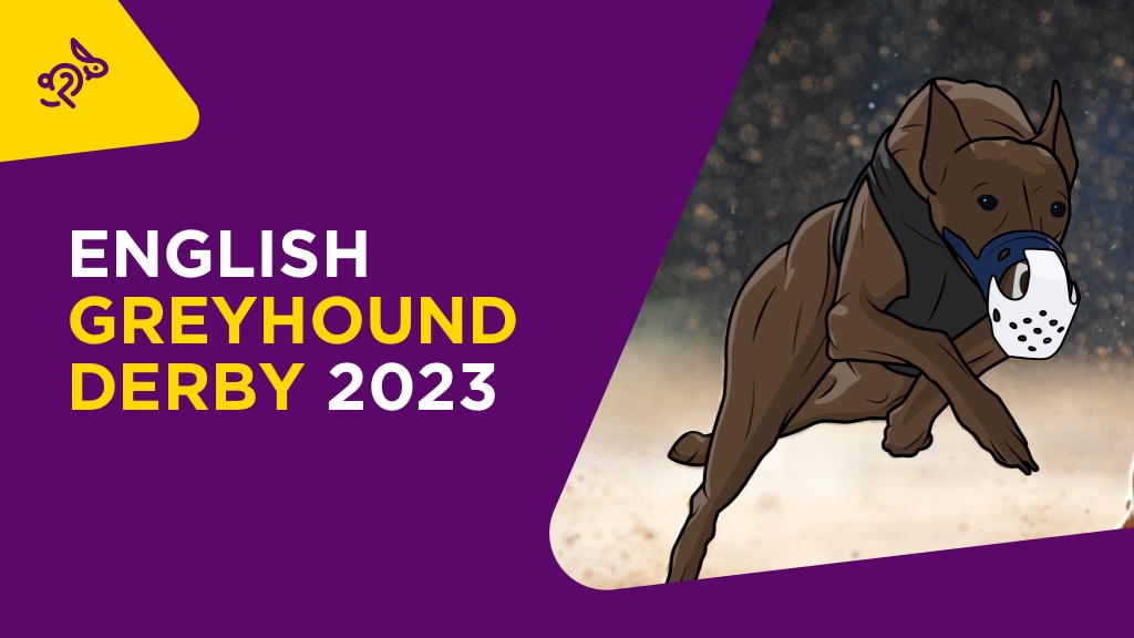 THE GREYHOUND DERBY FINAL Paul Lawrence & Barry Caul BETDAQ TIPS