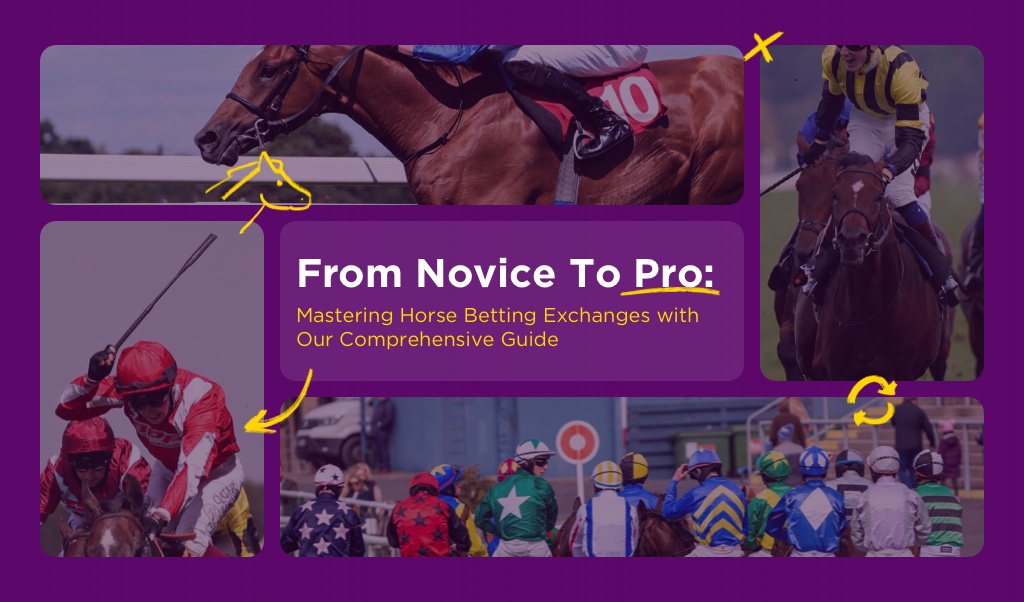 Master Horse Betting Exchanges Guide BETDAQ TIPS