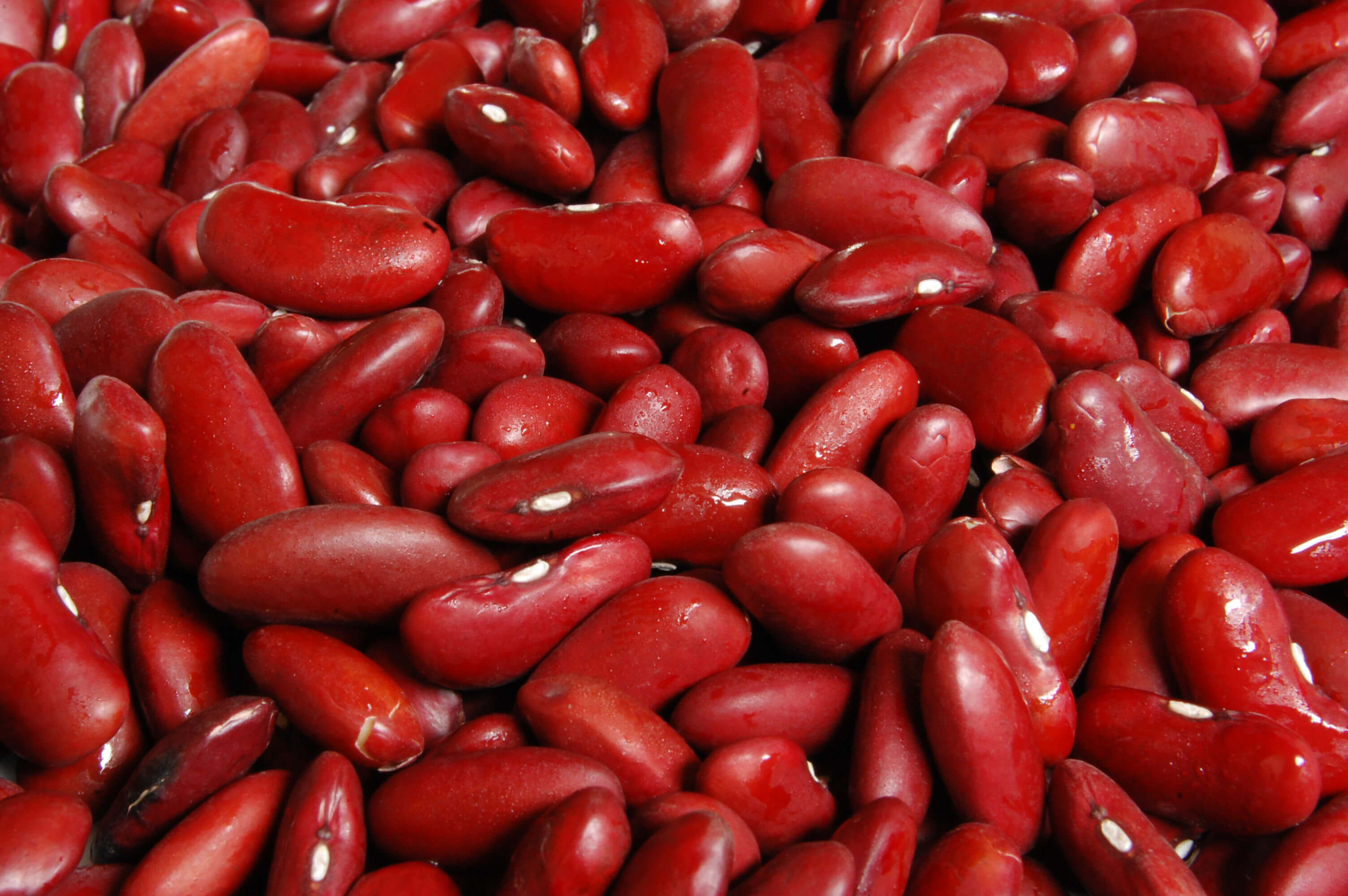 Benefits of Red Beans For Healthy Life » Health Tips
