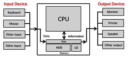 Introduction to Hardware: Learn the Basics : 5 Steps