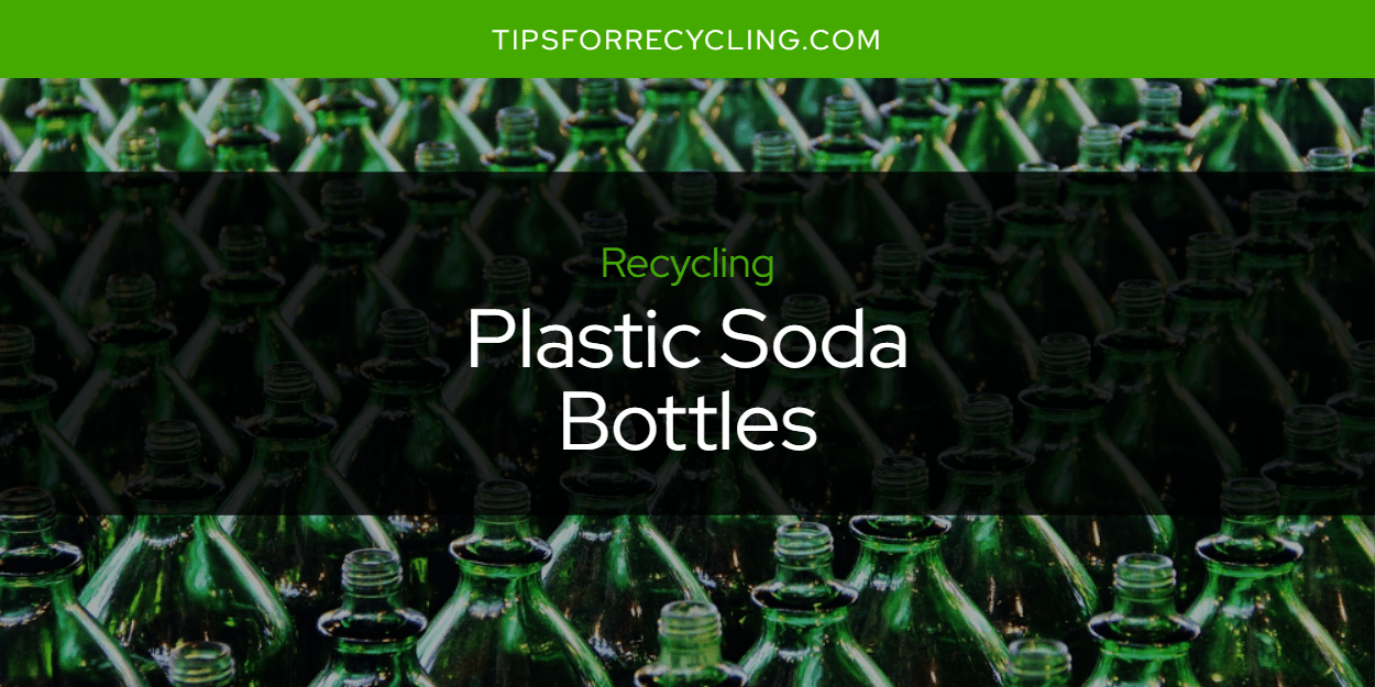 Are Plastic Soda Bottles Recyclable? Tips For Recycling Recycle Everything