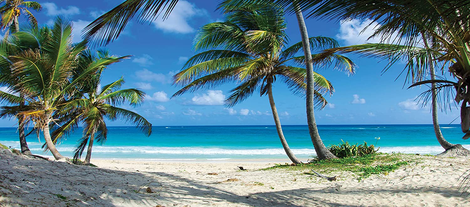 Nora Svet Surfshark VPN partnership get the discount