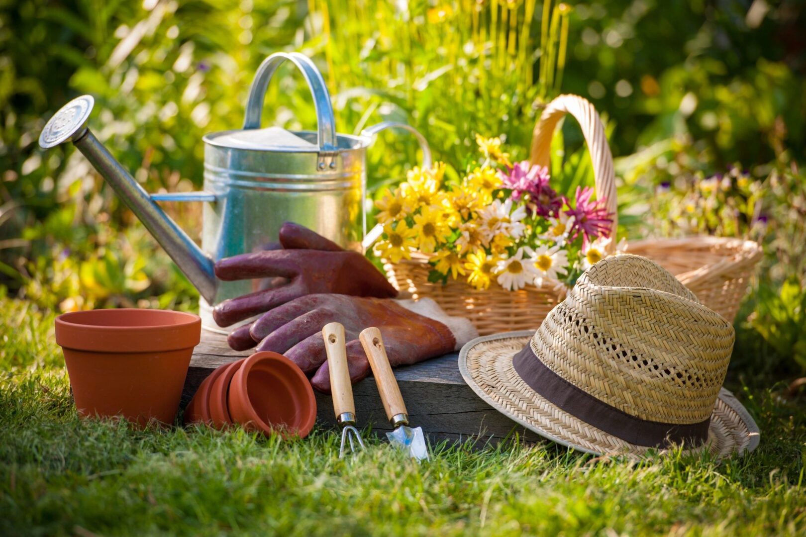 Quick and Easy Cleaning and Maintenance Tips for a Perfect Yard