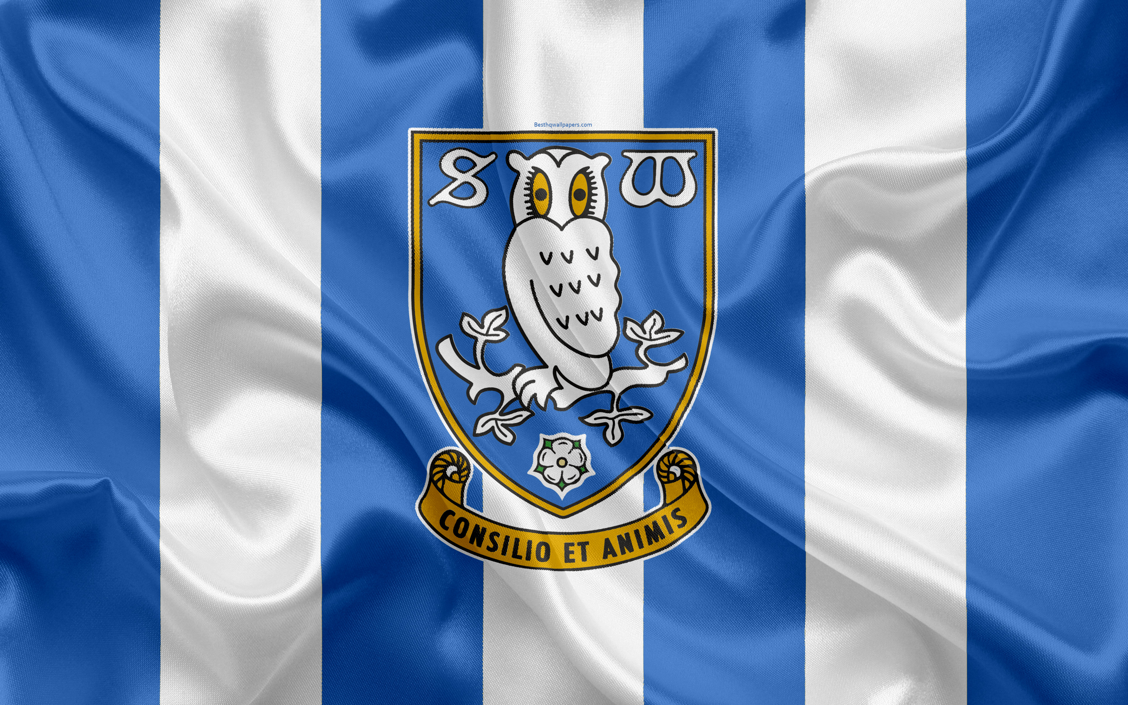 Sheffield Wednesday Photos