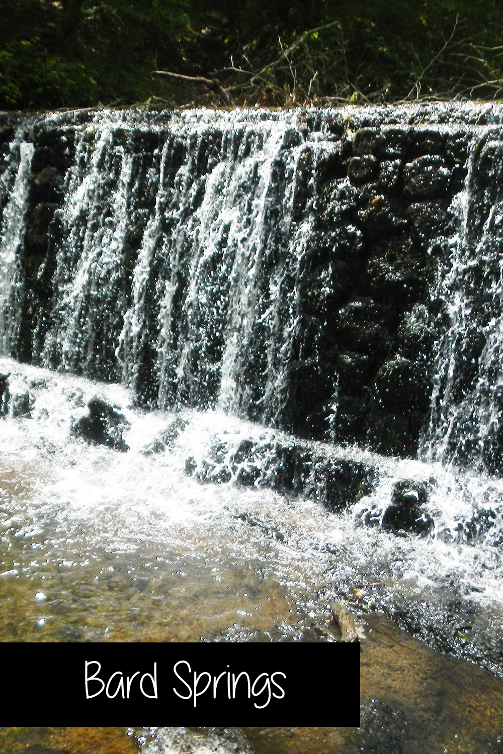 10 Things to Do at Shady Lake in the Ouachita Mountains