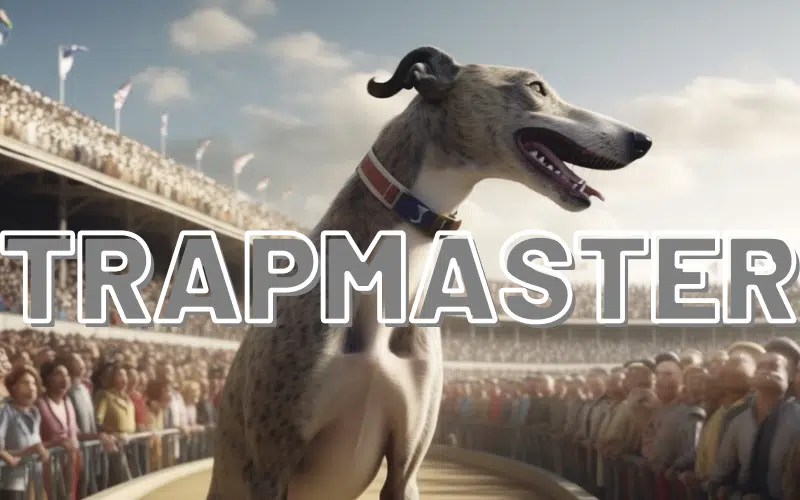 Trapmaster Review The new top dog for greyhound tips?