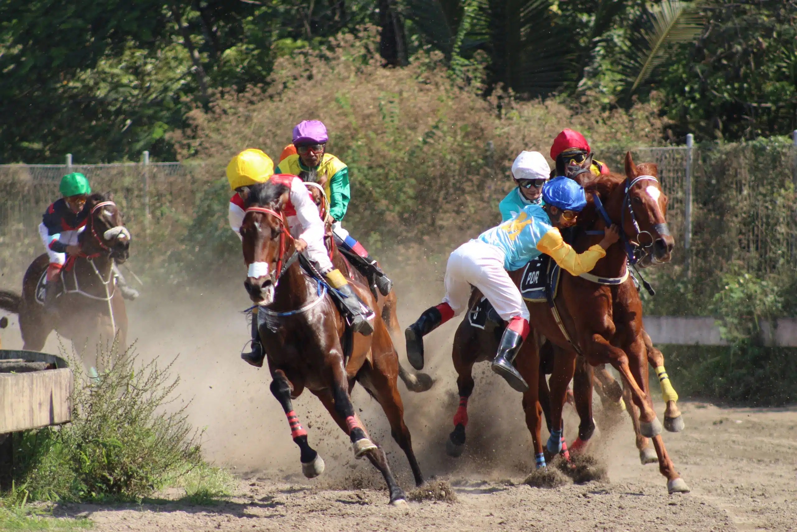 From Favorites to Underdogs Understanding Horse Racing Odds