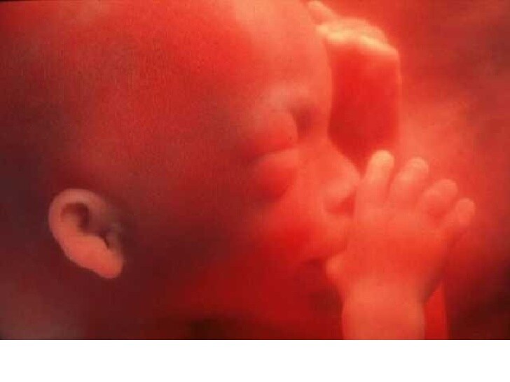 28 Weken Zwanger: Baby Is Levensvatbaar - Tips Voor Werkende Ouders