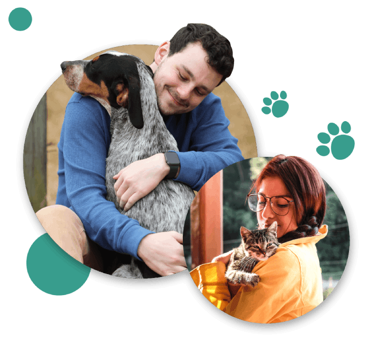 Animal Shelter, Tipton, IN Humane Society of Tipton County