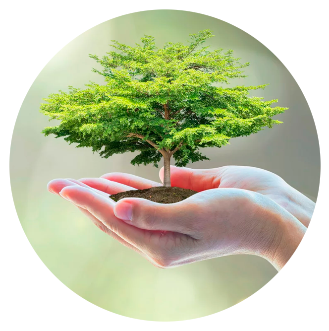 TIP TOP Holdings What Drives Us