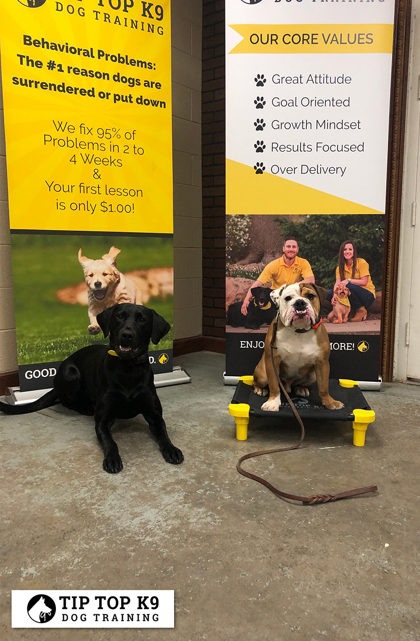 Oklahoma City Dog Trainer Tip Top K9