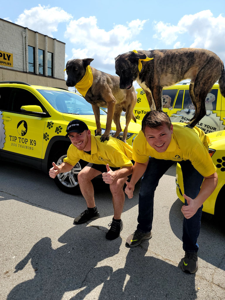 Lewisville TX Aggressive Dog Training a great dog training